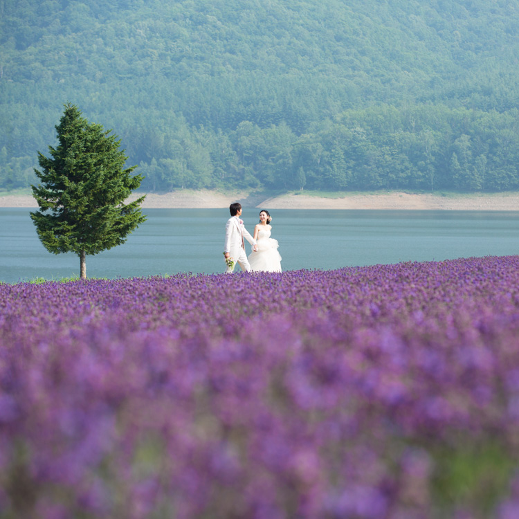 札幌の結婚式場探し 公式 シンデレラストーリー